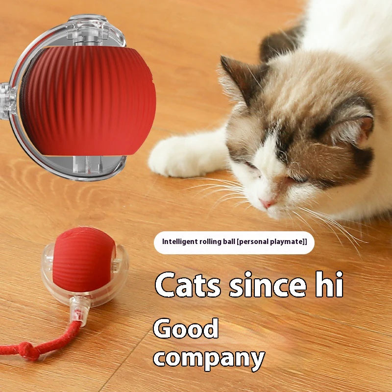 Cat Interactive Ball Toys Automatic Rolling Ball For Kitten Rechargeable Smart Pet Electric Toys With Teaser Sensor Cat Ball Toy