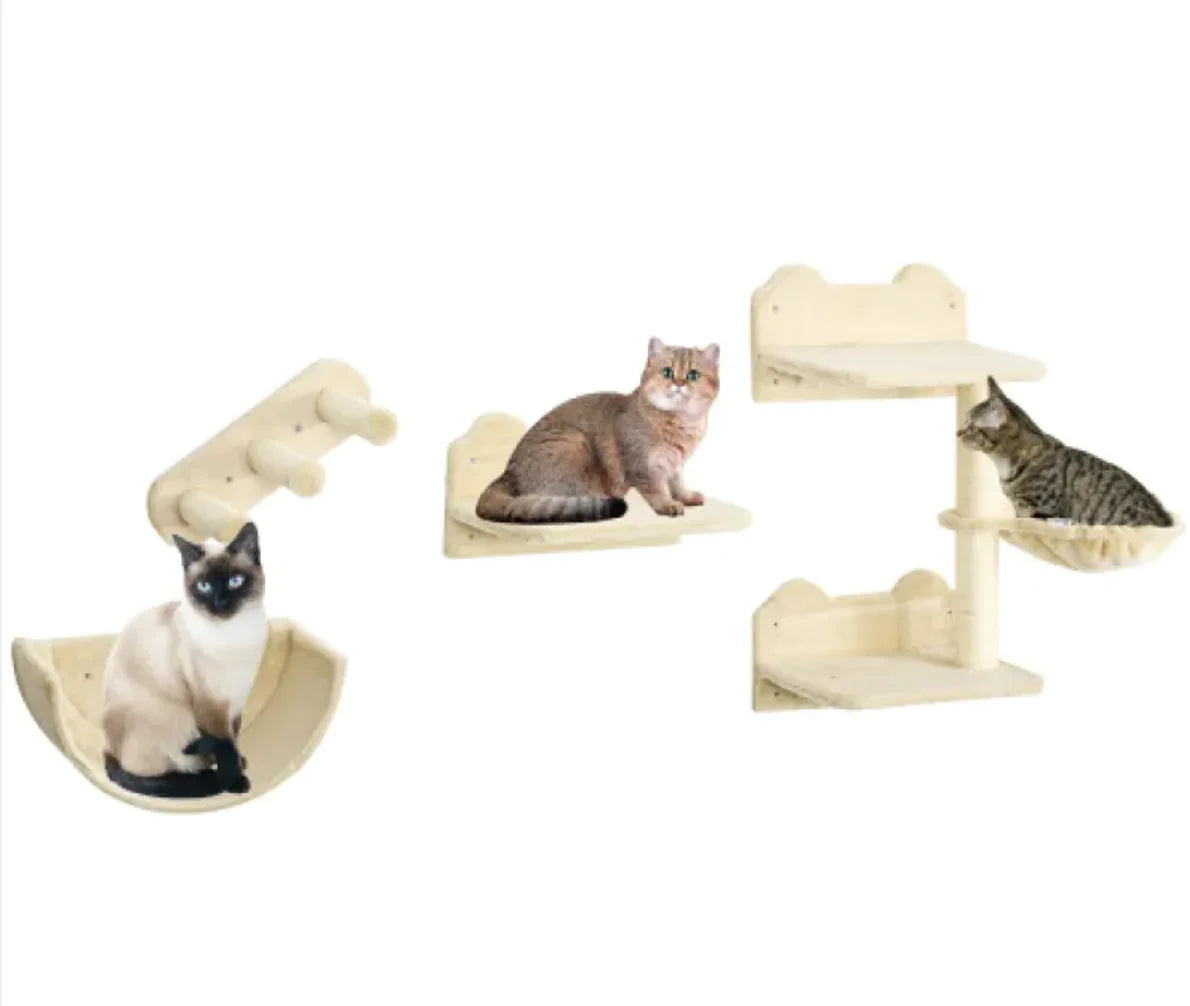 Elevate Your Cat's Happiness and Your Home's Style